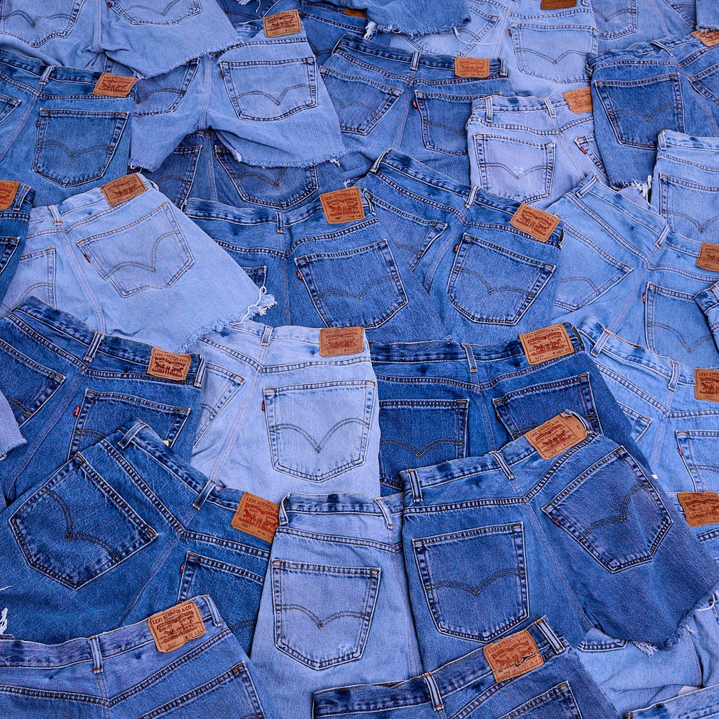 Vintage Levi’s Daisy Cut – Reworked Denim Shorts