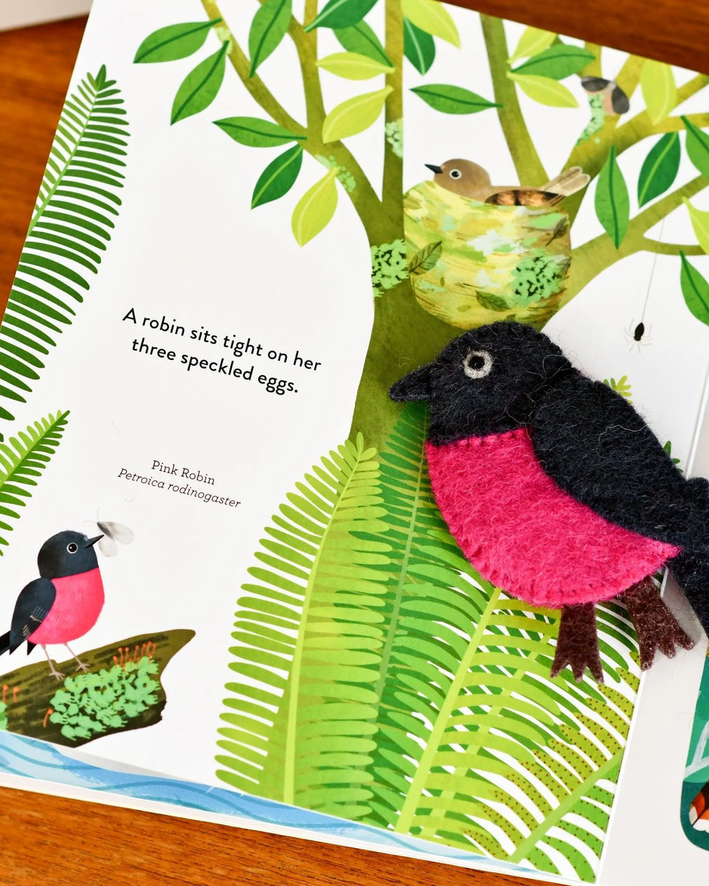 Busy Beaks Finger Puppet Book Set by Sarah Allen