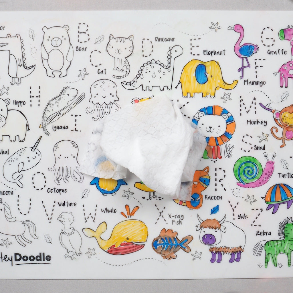 Reusable Drawing Mat