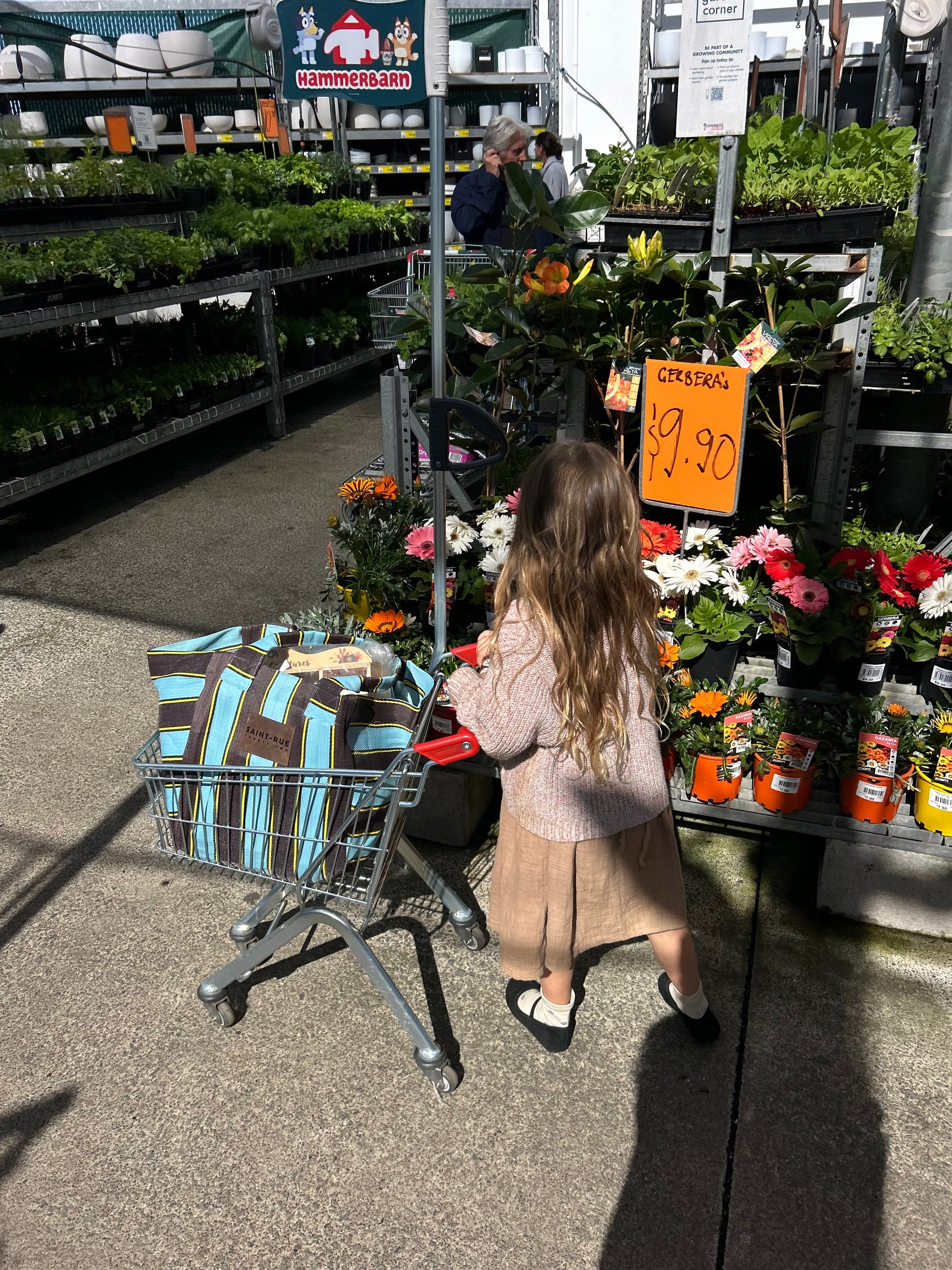 Open Shoulder Blue Crush