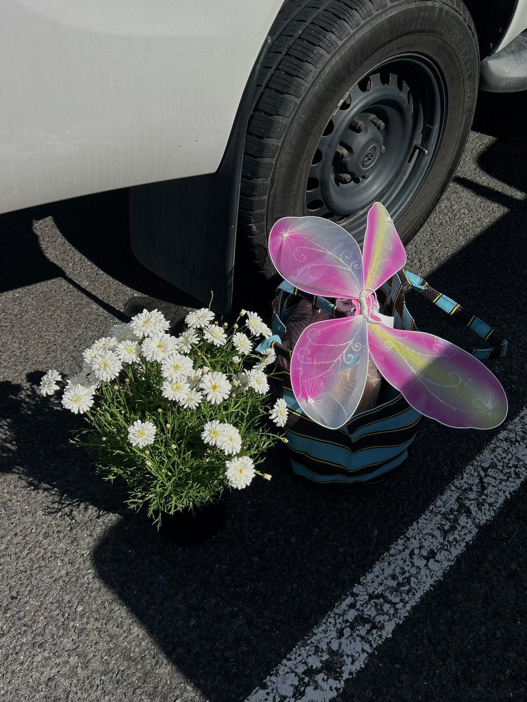 Open Shoulder Blue Crush