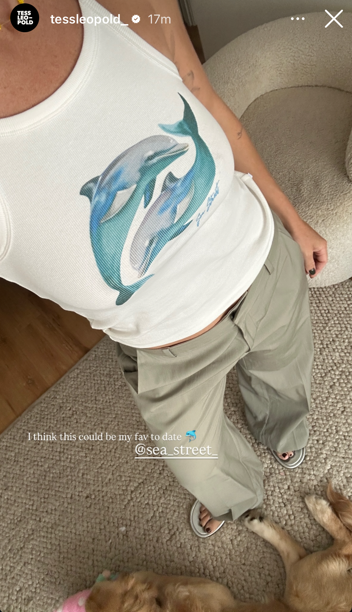 Dolphin Yin Yang Singlet