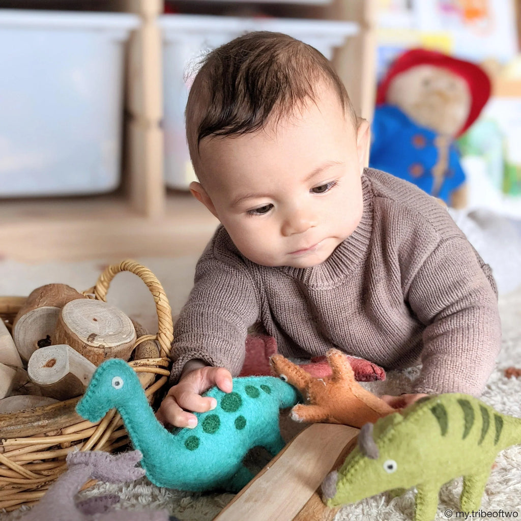 Felt Triceratops Dinosaur Toy